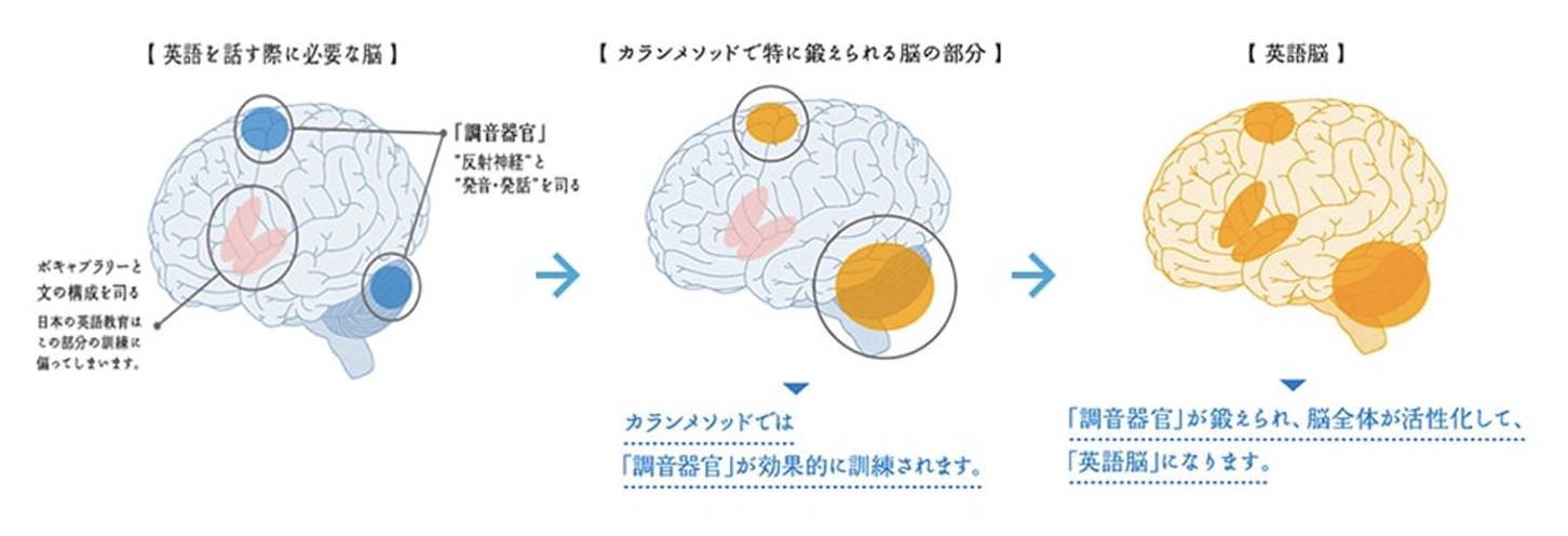 QQ English カランメソッド脳